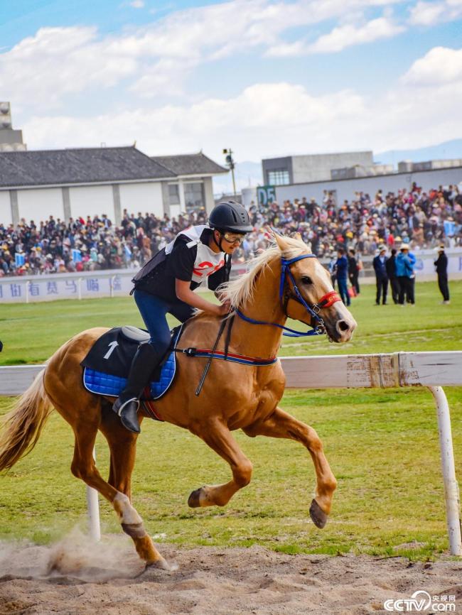 雲南大理：三(sān)月街民族節賽馬(mǎ)大會開幕