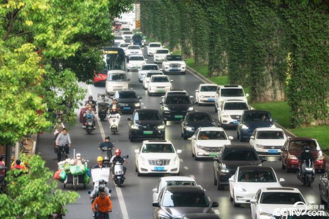 2025年12月(yue)7日，成都，高(gāo)架橋下爬(pa)滿碧綠的(de)爬山虎。視(shì)覺中國