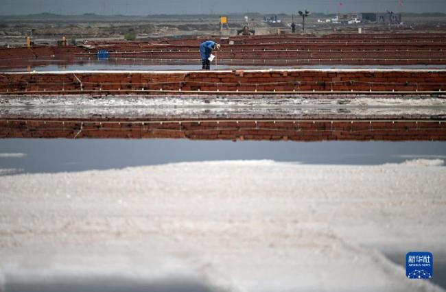 天津(jīn):千年鹽(yán)場迎豐(feng)收