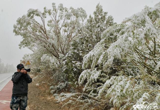 甘肅酒泉：立夏飛(fēi)雪