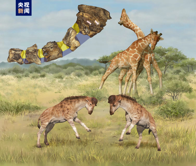 2022年度中國古(gǔ)生物學十大進展(zhǎn)發布