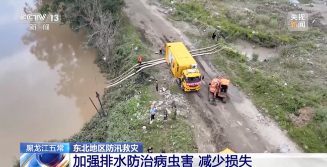 五常(cháng)大米受災，影響如(rú)何？幾組數據講清(qing)→